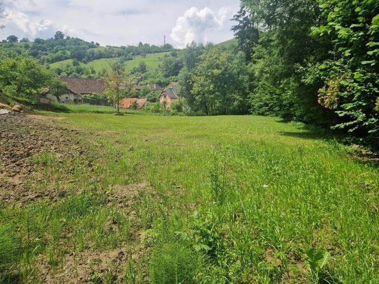 Teren Construcții intravilan de 2100 mp, în Est