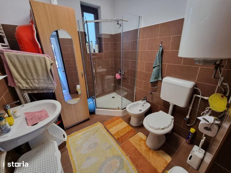 Casa cu trandafiri din Letea Veche, constructie 2013 - 15