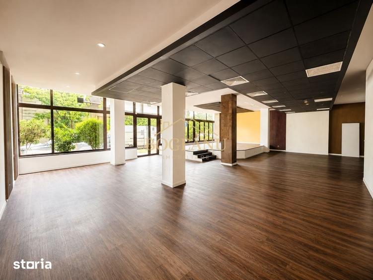 Spațiu comercial, de 400 mp, în Elisabetin