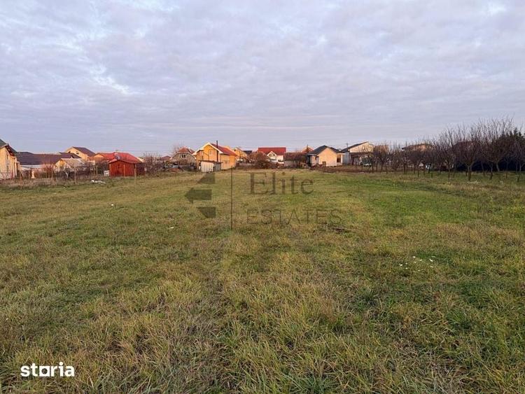 Teren intravilan 1150 mp de vanzare in Cihei - 5