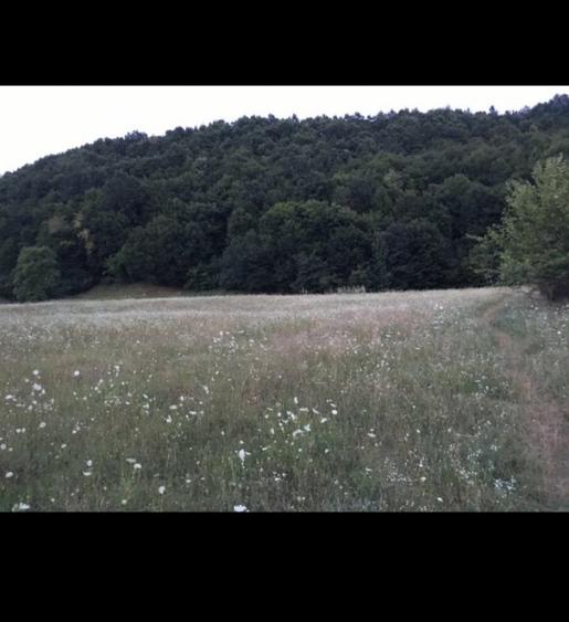 Teren intravilan de 9500 mp, în Bughea de Jos