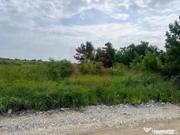Teren de 5444 mp, în Săftica