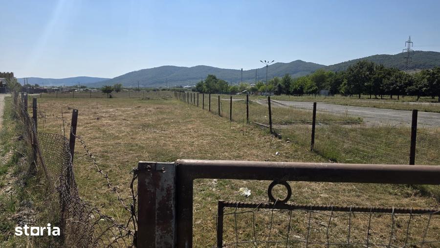 Teren de 1000 mp, în Viișoara