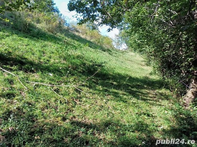 Teren de 3000 mp, în Măguri