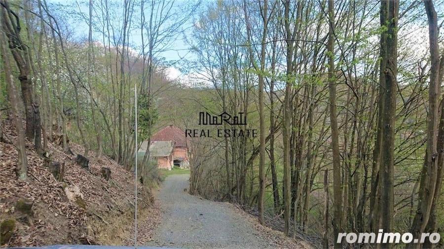 Teren de 69237 mp, în Criș