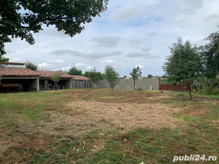 Casă cu 6 camere cu Teren 7805 Mp în Belinț