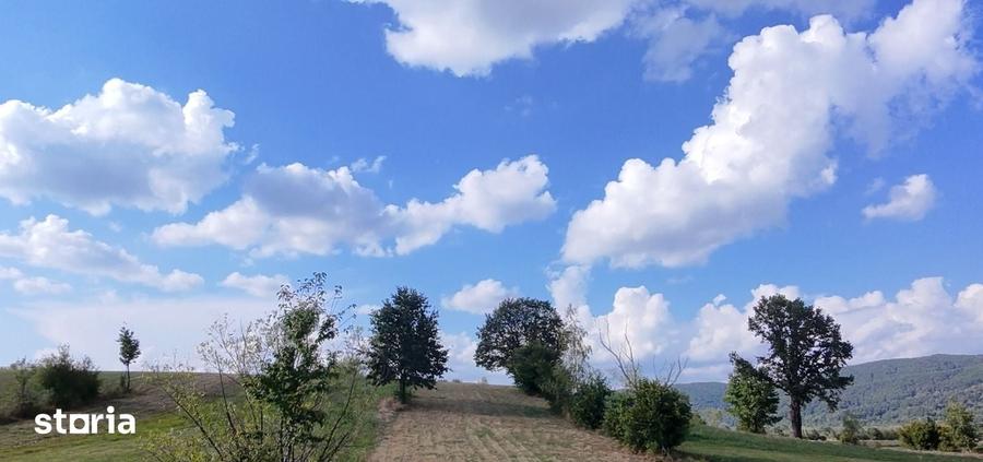 Teren de 8439 mp, în Șinca