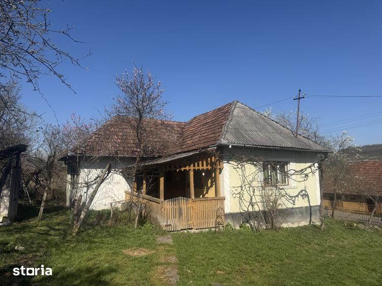 Casă cu 3 camere cu Teren 4500 Mp în Băița