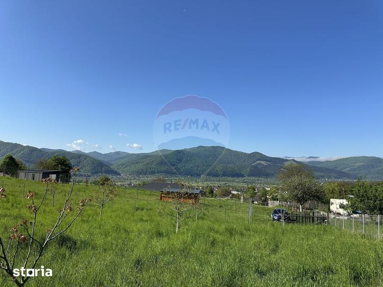 Teren de 1000 mp, în Alexandru cel Bun