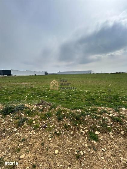 Teren de 5000 mp, în Est