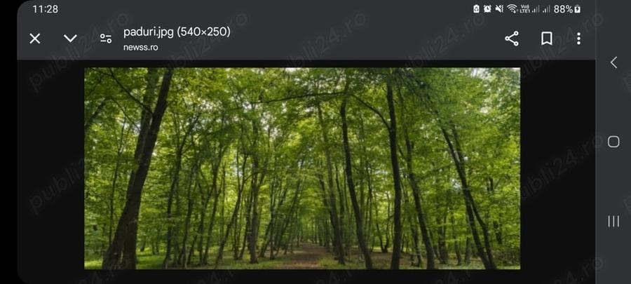 Teren în Strezeni
