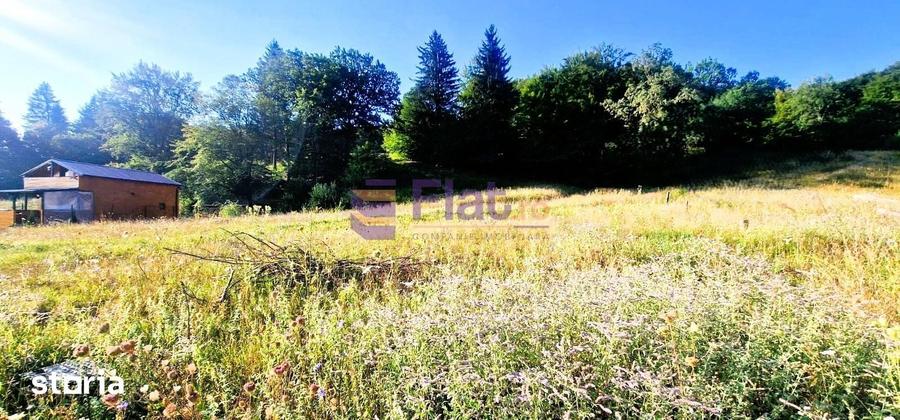 Teren intravilan de vanzare in Harman, Bra?ov cu utilitati - 1