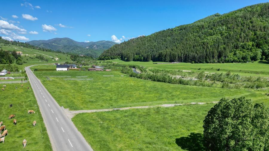 Teren Construcții intravilan de 1269 mp, în Bran