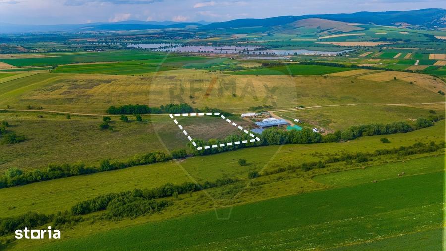 Oportunitate pentru fermieri: 10.800 mp teren arabil in Rotbav, Bra?ov - 11