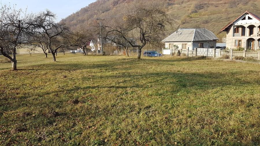 Teren Construcții intravilan de 7412 mp, în Bârsana
