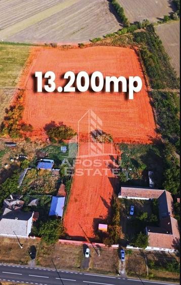 Teren Construcții intravilan de 13200 mp, în Foeni