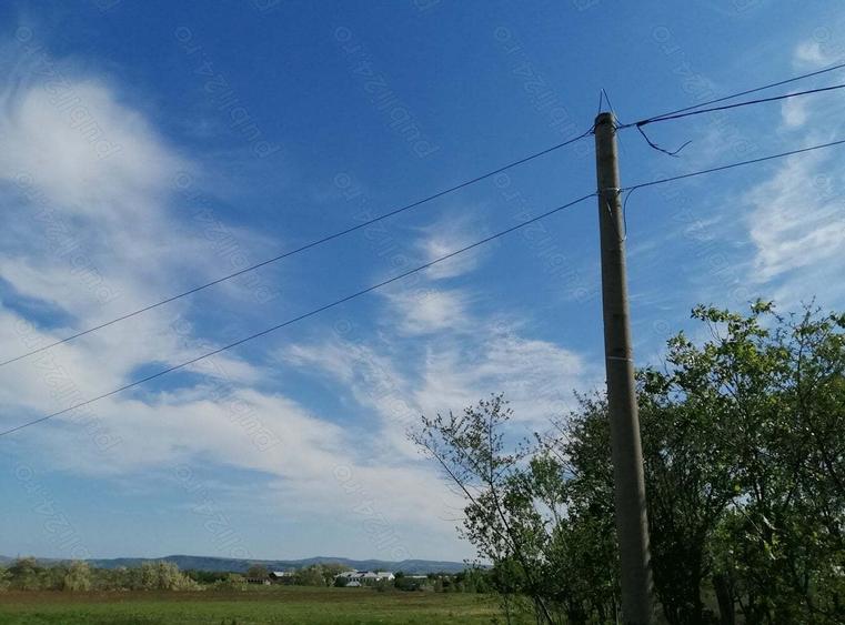 Teren de 6200 mp, în Săsenii Noi
