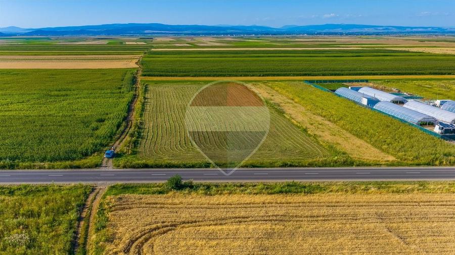 Teren Construcții intravilan de 7500 mp, în Tărlungeni