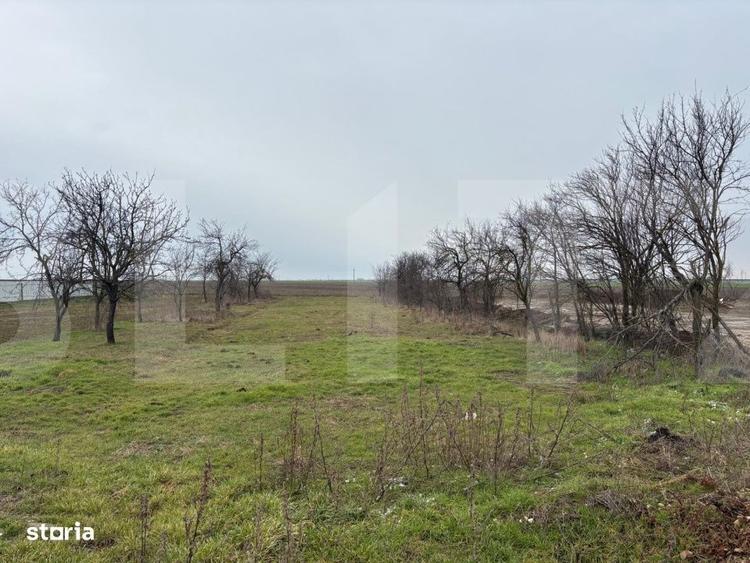 Casă cu 4 camere cu Teren 1512 Mp în Tisa