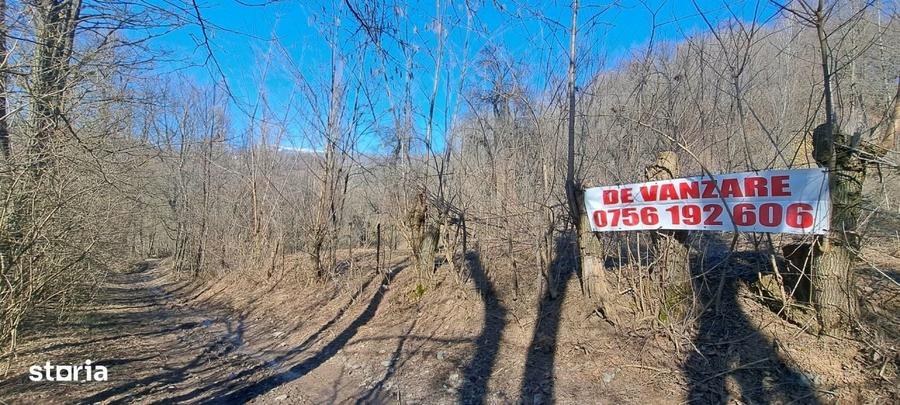 Spațiu comercial, în Podul Lung