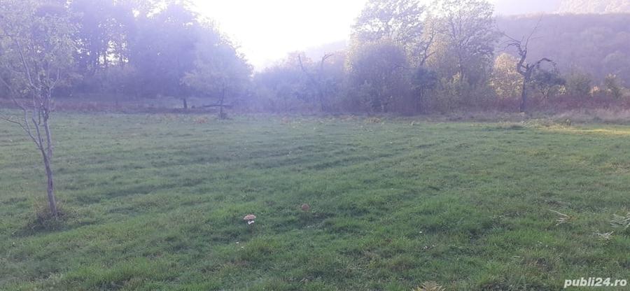 Teren de 3300 mp, în Dobra