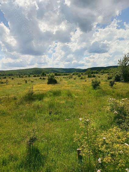 Teren de 1500 mp, în Merișani