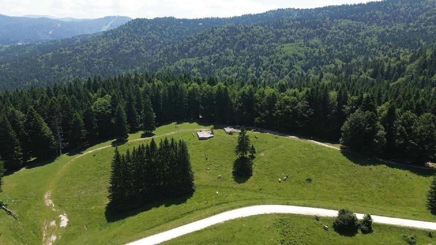 Teren agricol intravilan de 6000 mp, în Nord