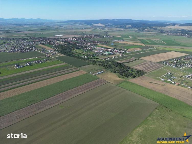 Teren intre Sanpetru si Bod, parcela de 500 mp - 4