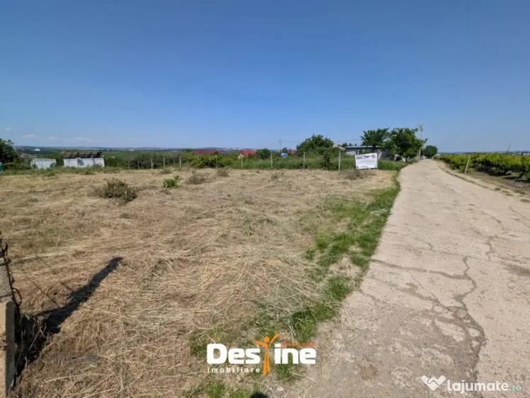 Barnova - Teren Intravilan 974 Mp, utilitati, drum betonat - 7