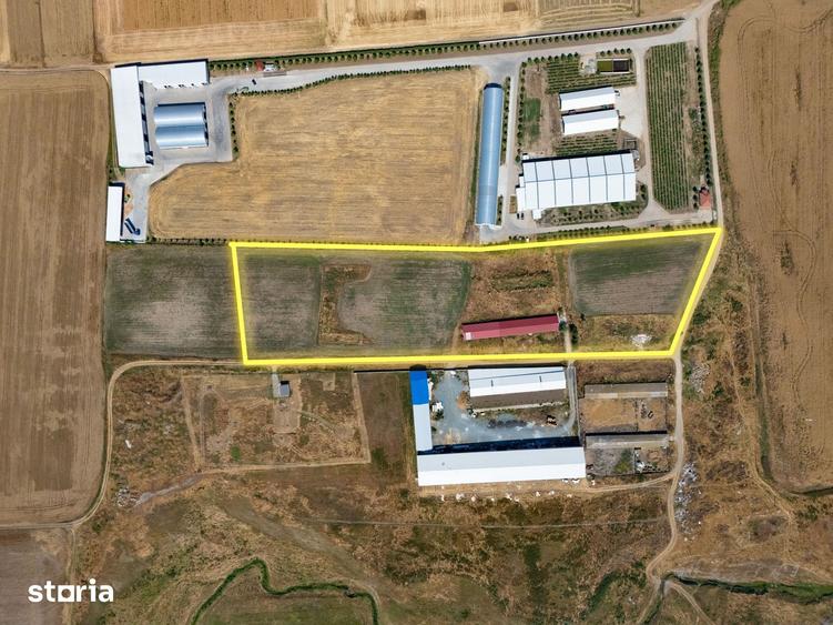 Teren de 29560 mp, în Cogealac