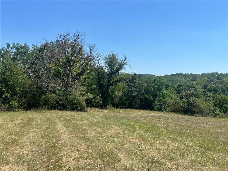 Teren agricol extravilan de 21300 mp, în Lăzăreni