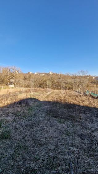 Teren Construcții intravilan de 2000 mp, în Chinteni