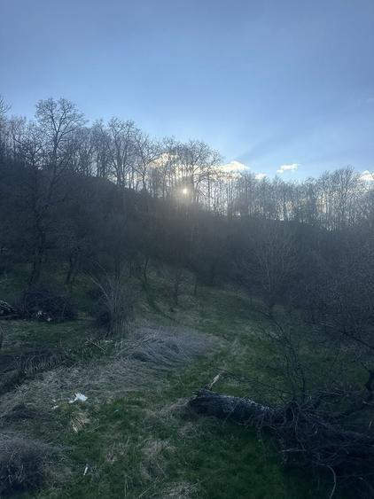 Teren de 2800 mp, în Văleni-Dâmbovița