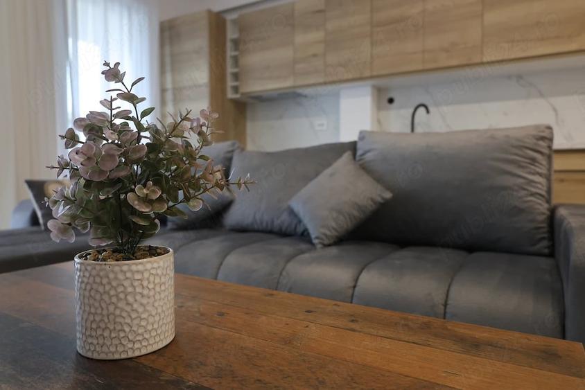 Apartament cu 2 camere semidecomandat în Florești