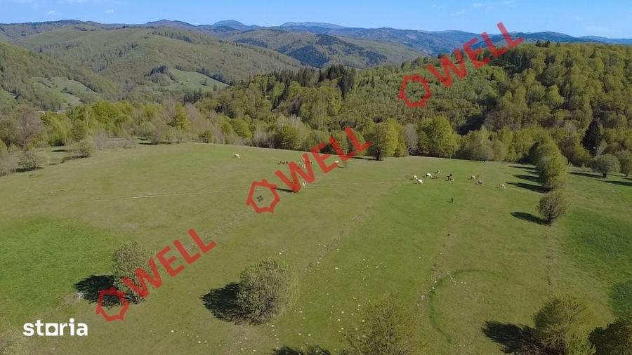 Teren de 2702 mp, în Vama Buzăului