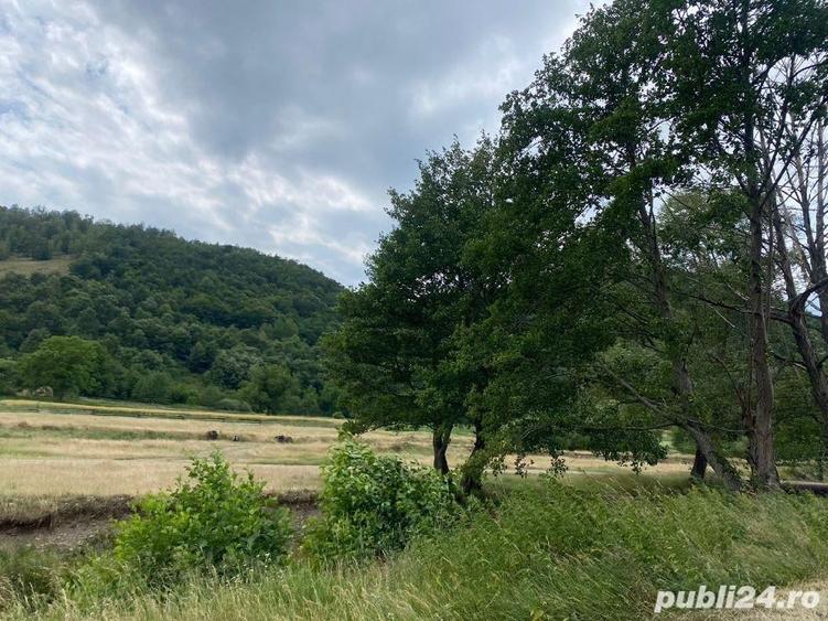 Teren de 3300 mp, în Dobra