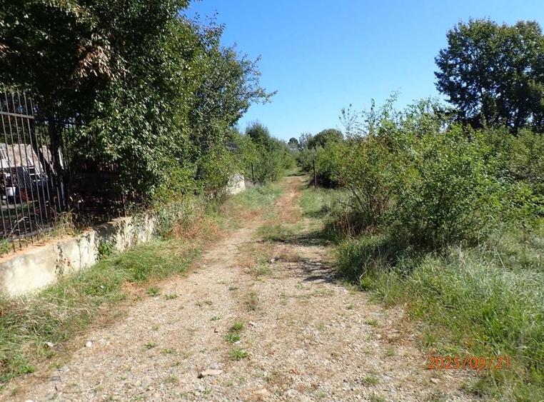 Teren Construcții intravilan de 1409 mp, în Cisnădioara