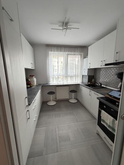 Apartament cu 2 camere decomandat în Terezian