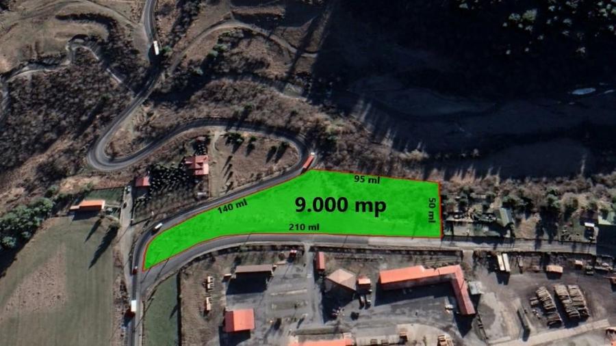 Teren intravilan de 9000 mp, în Brădet