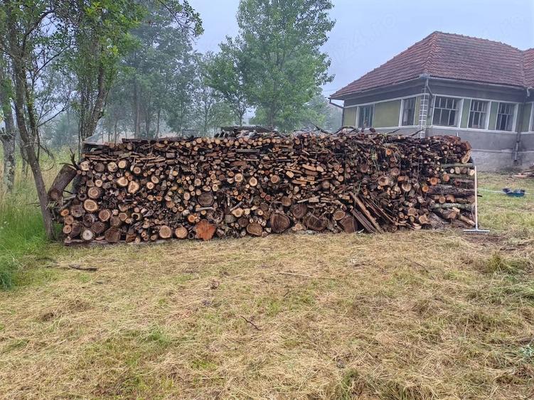 Casă cu Teren 20000 Mp în Vârfurile