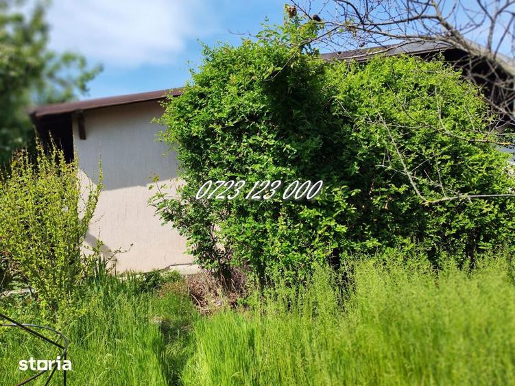 Casa de vanzare in Branesti, in apropiere de padure si lac - 2