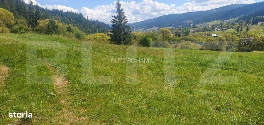 Teren intravilan, 7.362 mp, zona Vatra Dornei