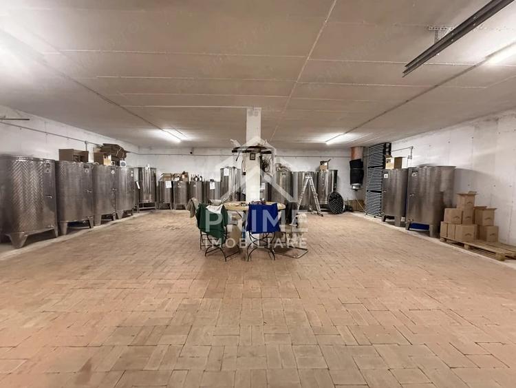 Spațiu comercial, de 210 mp, în Cricău