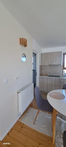 Casă cu 4 camere cu Teren 1233 Mp în Dumbrăvița