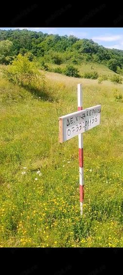 Teren de 1400 mp, în Luna