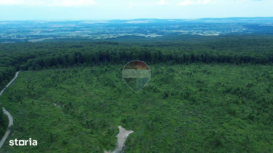 Teren de 447000 mp, în Șerbăuți