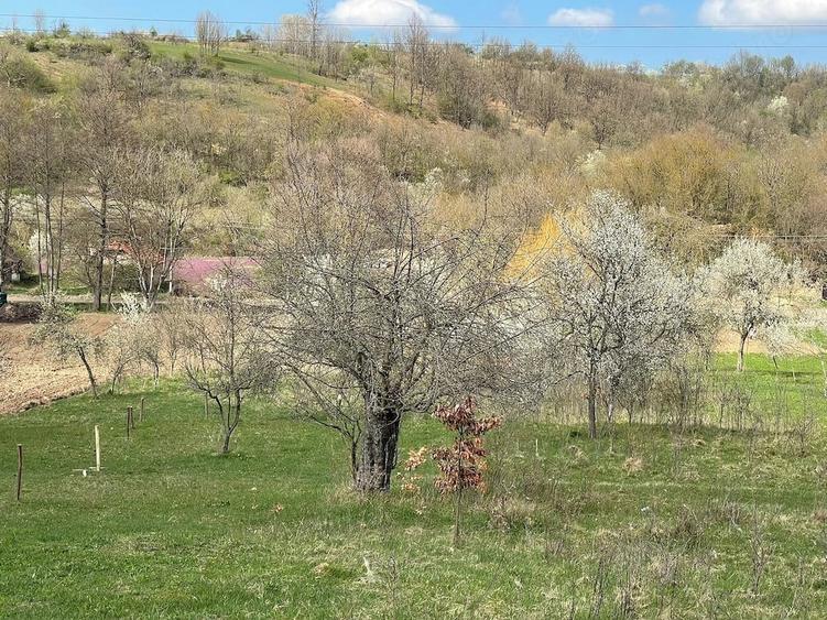 Teren de 5755 mp, în Central