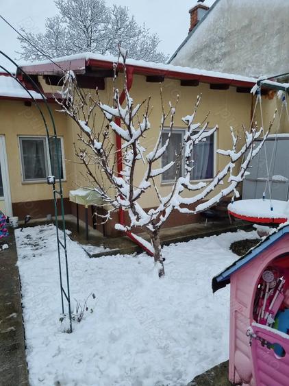 Casă cu 3 camere cu Teren 100 Mp în Câmpinița