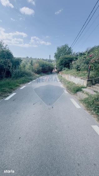 1170mp intravilan, imprejmuit, Leamna de Jos, utilitati - 5