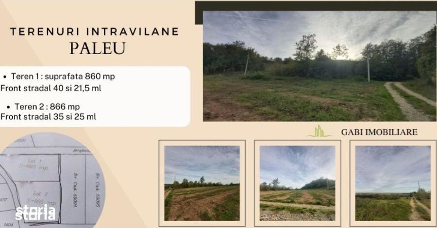 Spațiu comercial, în Paleu